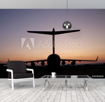 Picture of C17 tail silhouette